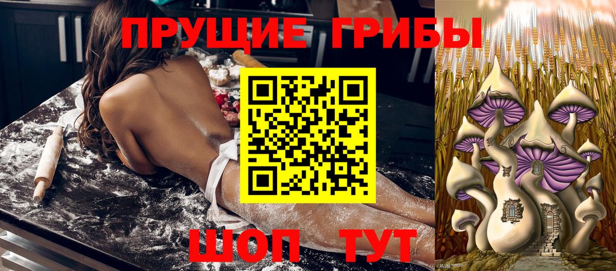 Галлюциногенные грибы мицелий  Вход с VPN  Углич  наркотики  Галлюциногенные грибы Magic Shrooms 