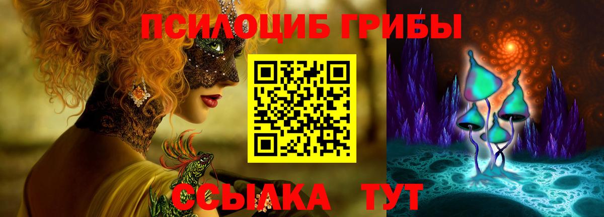 Псилоцибиновые грибы прущие грибы Углич